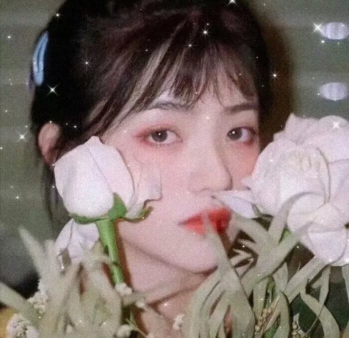 十条命